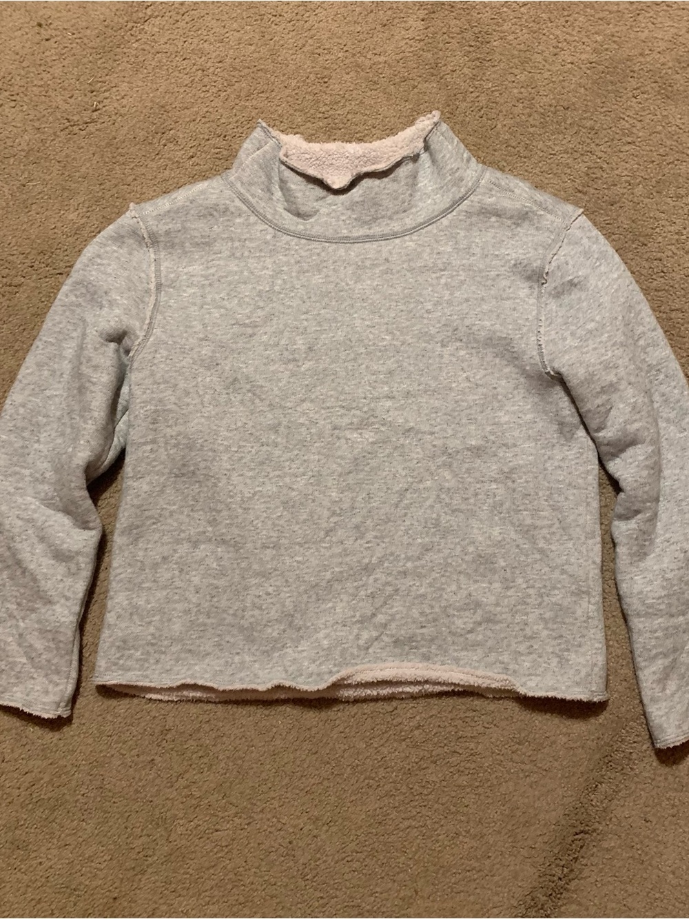 dylan Light Gray Mock Neck Sweatshirt with Soft Lining
